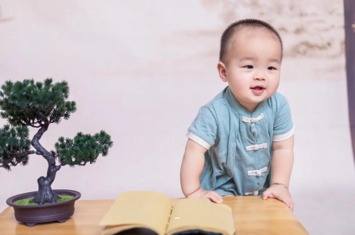江门可爱的企鹅宝宝